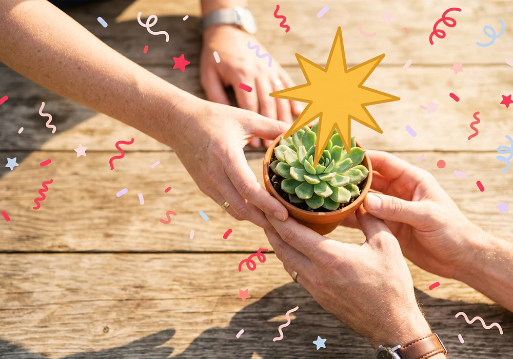 Hands passing a small succulent across a sunlit table with an illustrated gold star